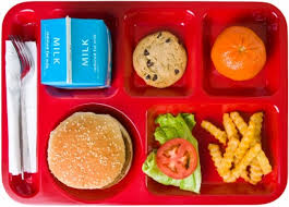 School Lunch tray
